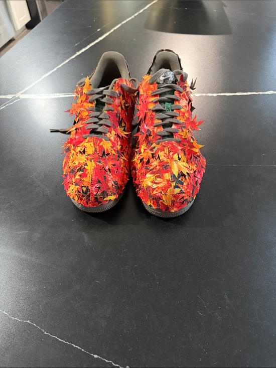 Nike Other - Nike sneakers with red, orange and yellow leaf appliqués